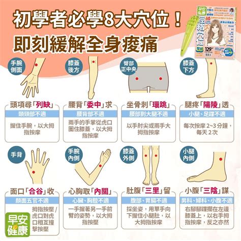 八會穴口訣|經絡系統的特定穴